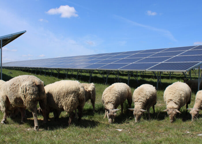 A BayWa r.e. solar project.