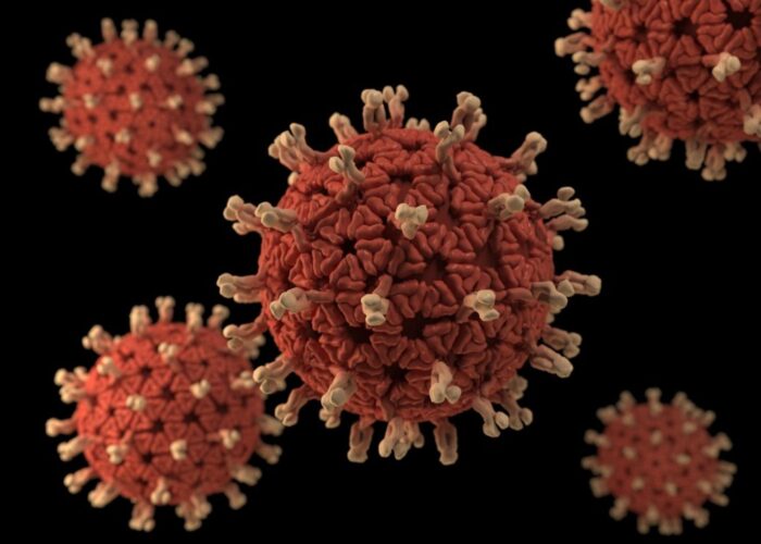 cdc-c4IBsSCuwIU-unsplash