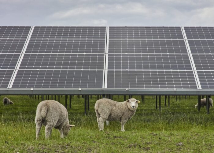 An agrivoltaic project from solar developer European Energy in Denmark.