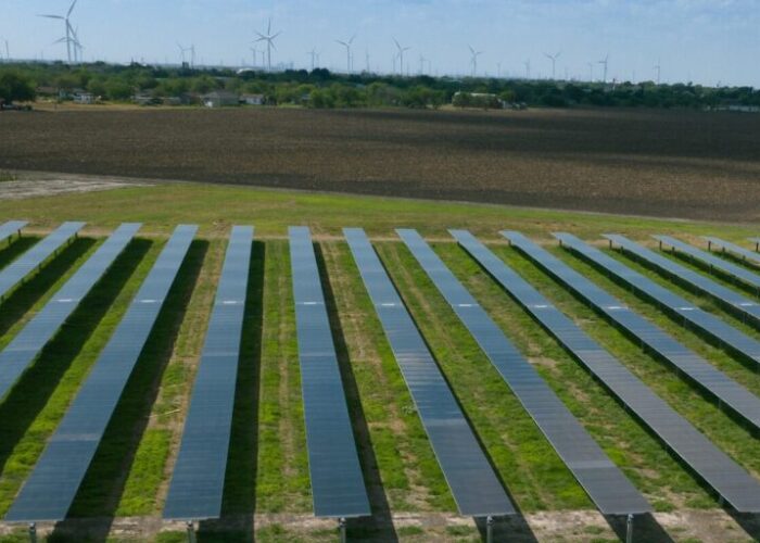 Lightsource bp's Peacock solar project.