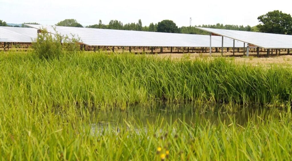 The Paddock Wood solar farm.