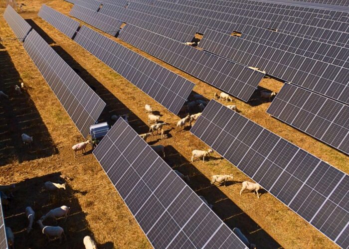 Nexwell Power increases its Spanish solar portfolio with 250MW projects from Q Energy