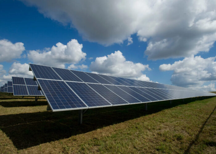 The Dama solar project in Romania.