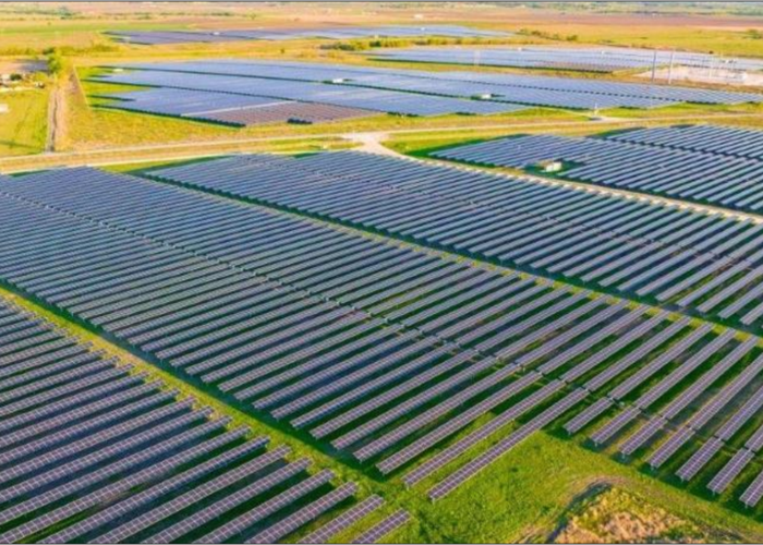 TS_Orange Grove Project Photo